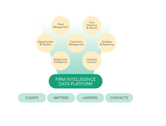 Make Your Collective Intelligence the Foundation of Your Firm